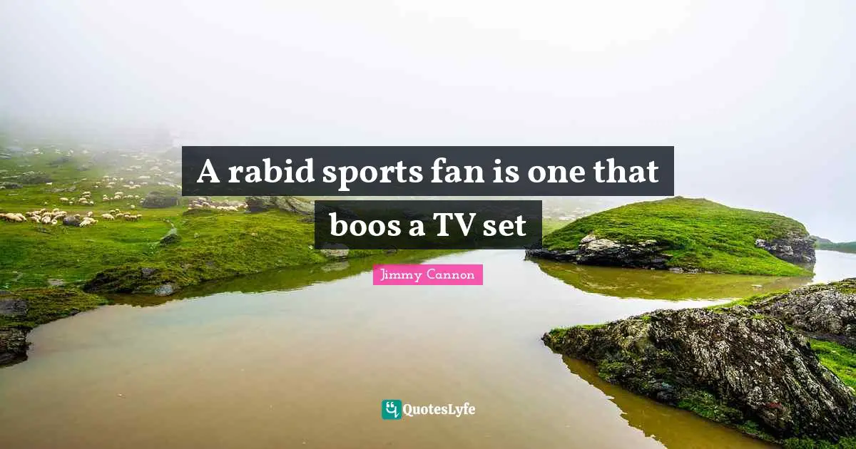 Tvs Quotes: "A rabid sports fan is one that boos a TV set"