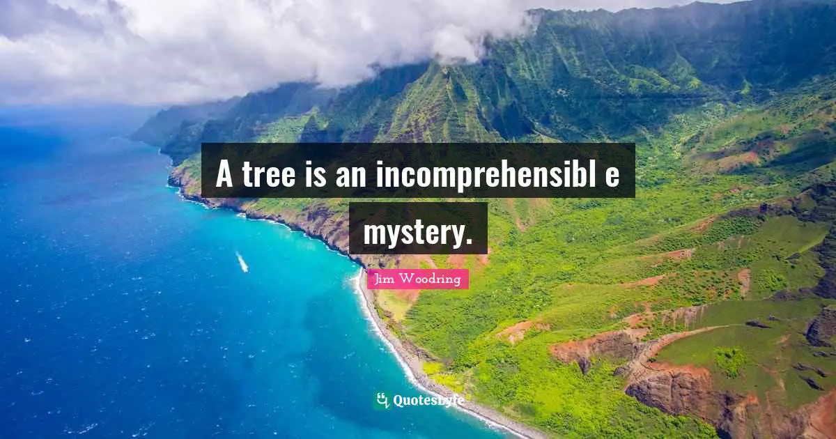 A tree is an incomprehensibl e mystery.