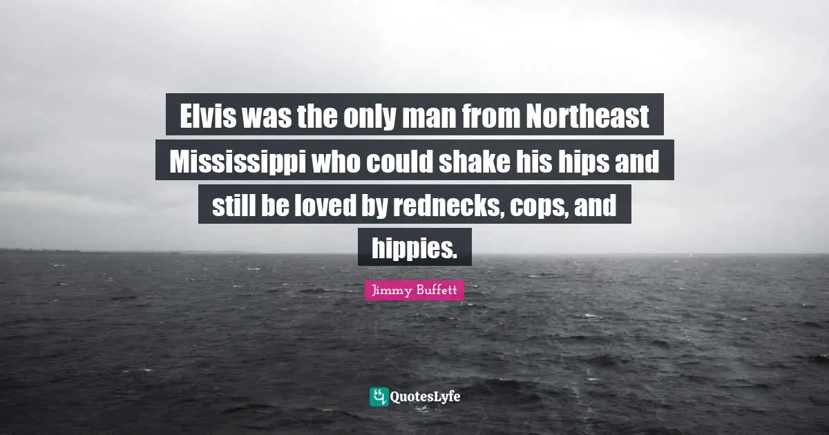 Elvis was the only man from Northeast Mississippi who could shake his hips and still be loved by rednecks, cops, and hippies.