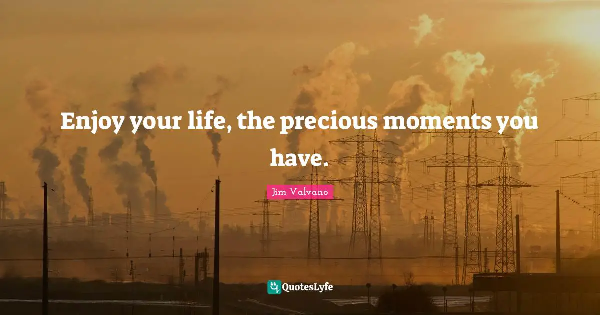 What S Precious Quotes: "Enjoy your life, the precious moments you have."