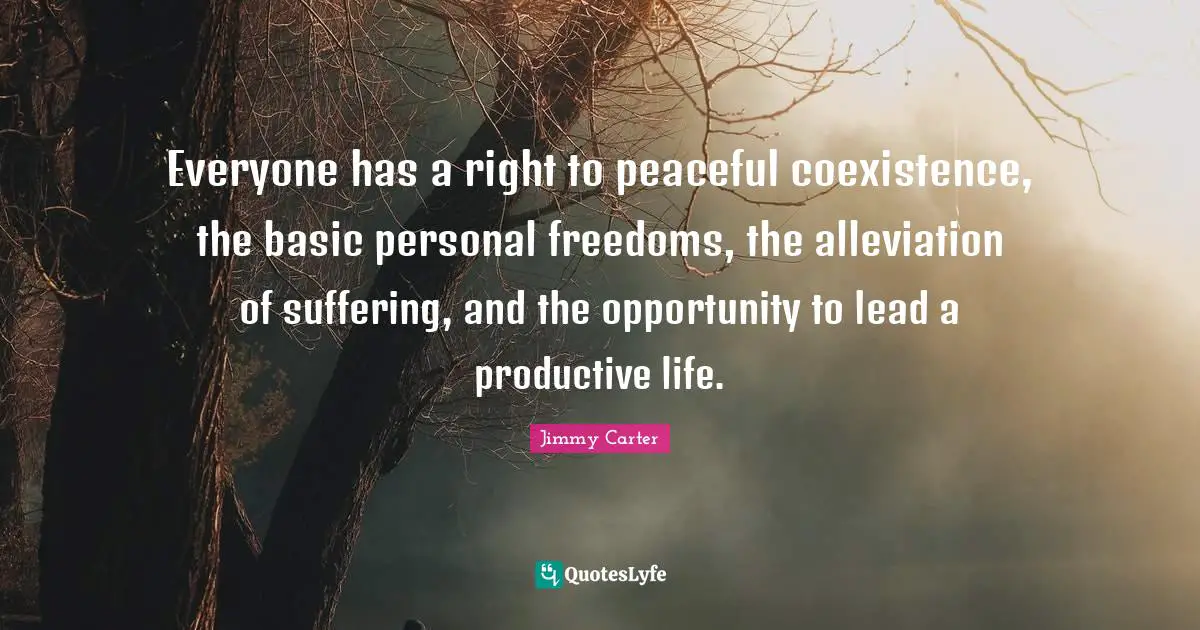 Peaceful Quotes: "Everyone has a right to peaceful coexistence, the basic personal freedoms, the alleviation of suffering, and the opportunity to lead a productive life."