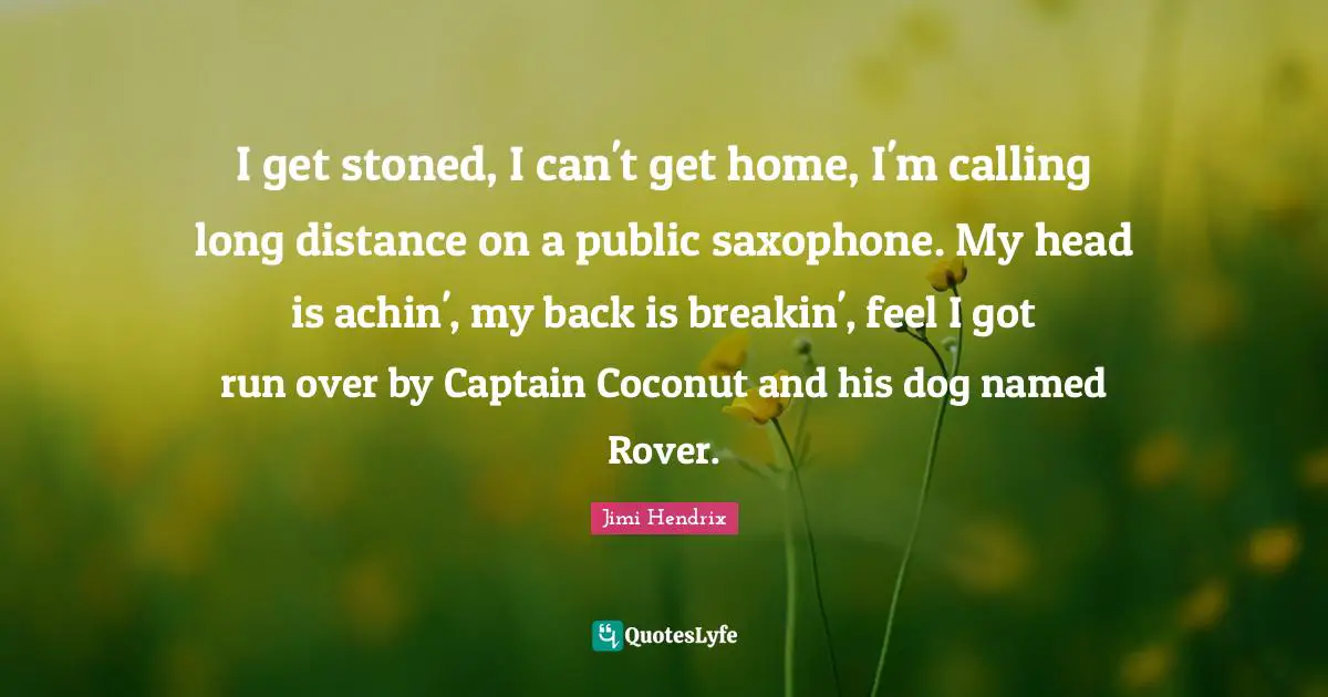 I get stoned, I can't get home, I'm calling long distance on a public saxophone. My head is achin', my back is breakin', feel I got run over by Captain Coconut and his dog named Rover.