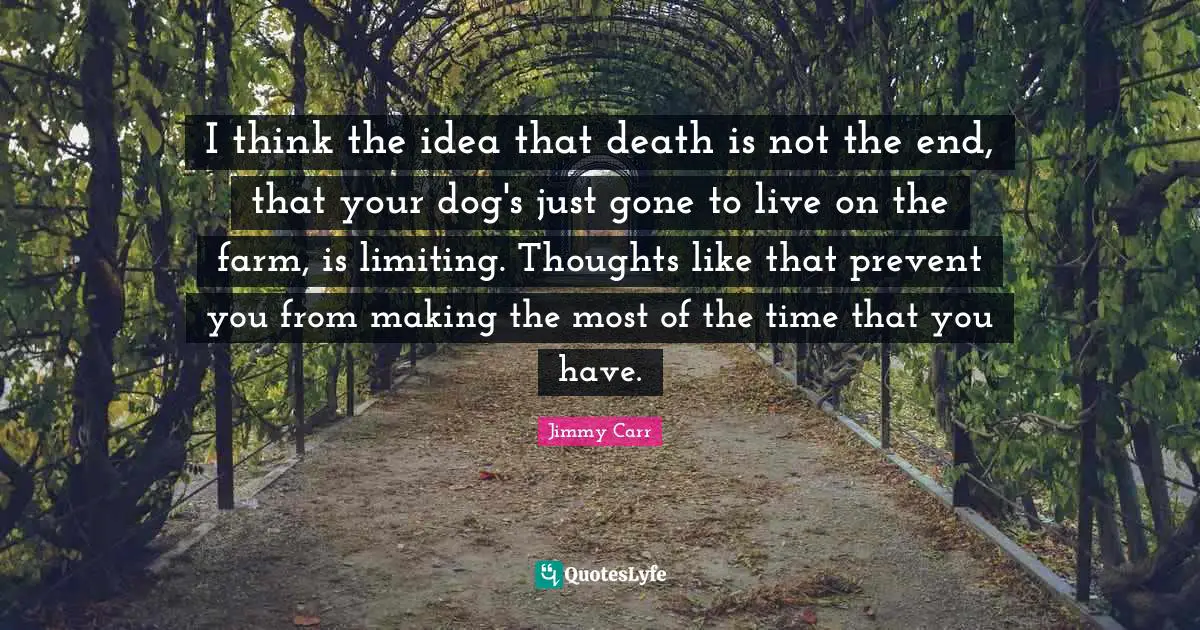 I think the idea that death is not the end, that your dog's just gone to live on the farm, is limiting. Thoughts like that prevent you from making the most of the time that you have.