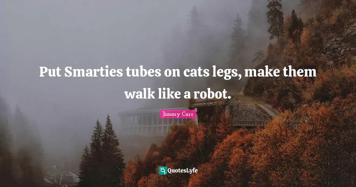 Put Smarties tubes on cats legs, make them walk like a robot.