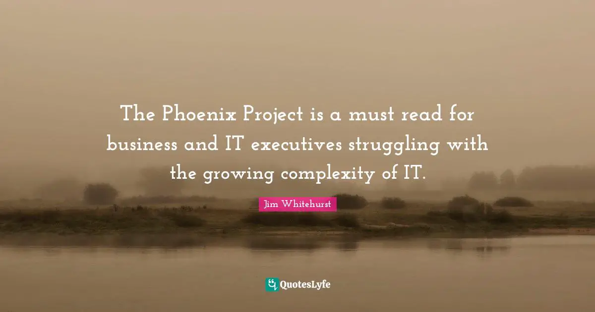 The Phoenix Project is a must read for business and IT executives struggling with the growing complexity of IT.