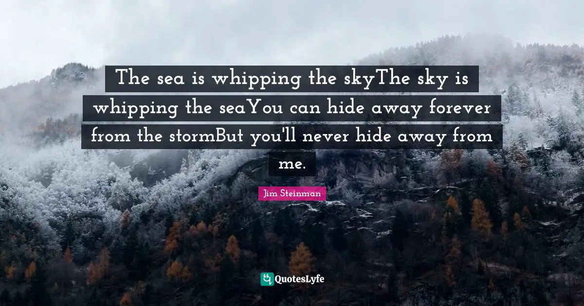 The sea is whipping the skyThe sky is whipping the seaYou can hide away forever from the stormBut you'll never hide away from me.