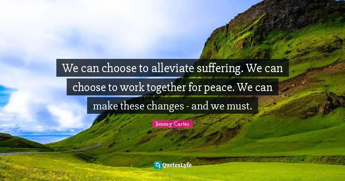 Working Quotes: "We can choose to alleviate suffering. We can choose to work together for peace. We can make these changes - and we must."