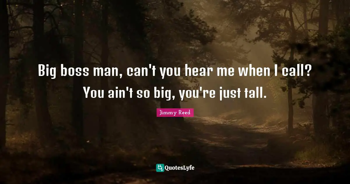 Big boss man, can't you hear me when I call? You ain't so big, you're just tall.