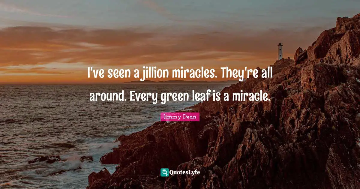 I've seen a jillion miracles. They're all around. Every green leaf is a miracle.
