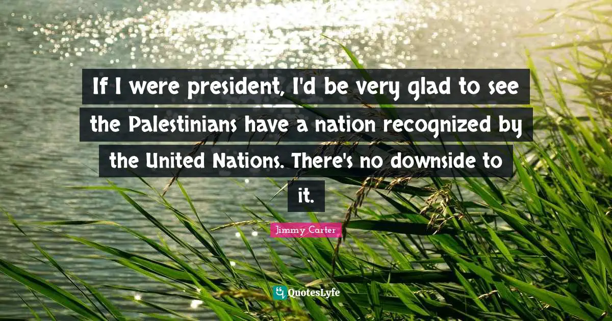If I were president, I'd be very glad to see the Palestinians have a nation recognized by the United Nations. There's no downside to it.