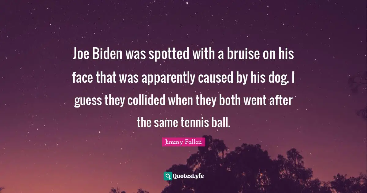 Joe Biden was spotted with a bruise on his face that was apparently caused by his dog. I guess they collided when they both went after the same tennis ball.