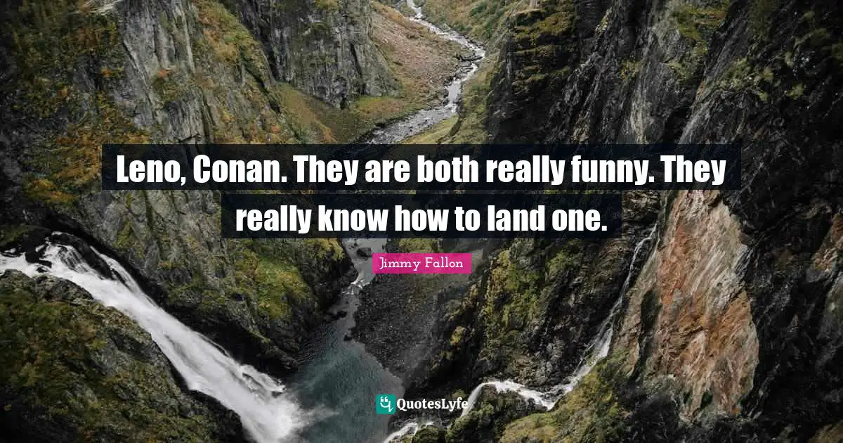 Leno, Conan. They are both really funny. They really know how to land one.