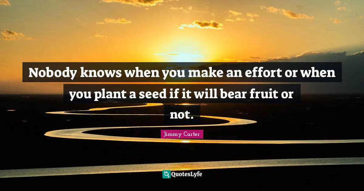 Nobody knows when you make an effort or when you plant a seed if it will bear fruit or not.