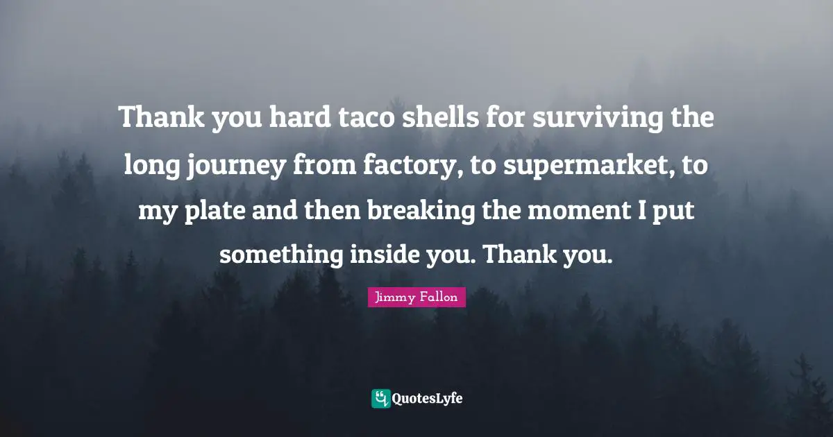 Thank you hard taco shells for surviving the long journey from factory, to supermarket, to my plate and then breaking the moment I put something inside you. Thank you.