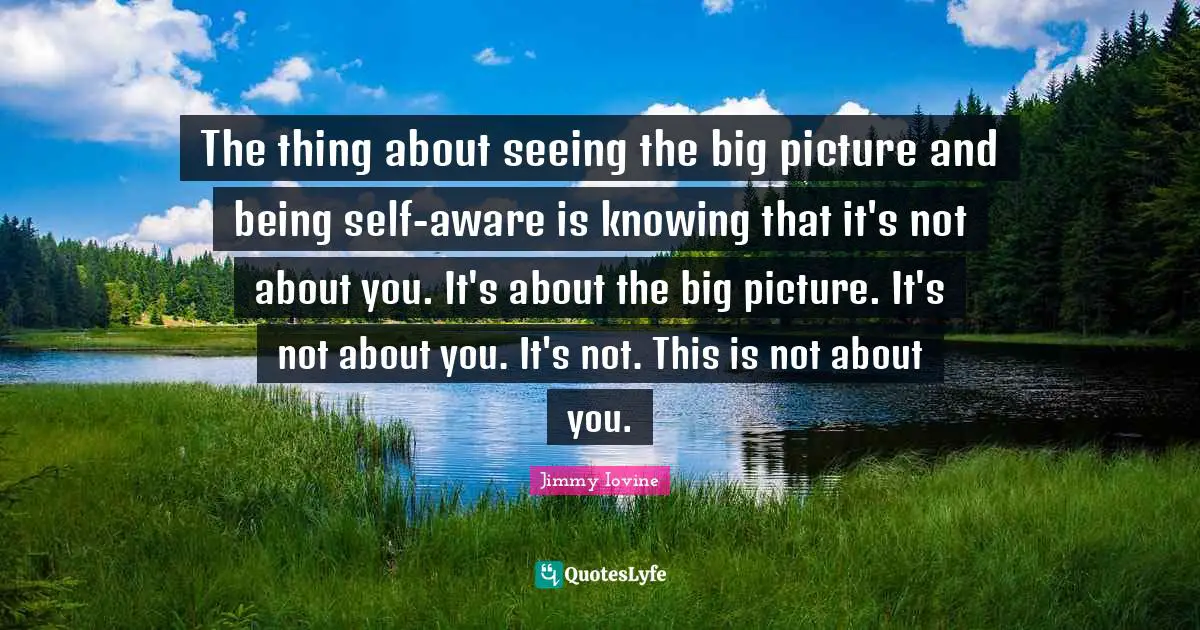 The thing about seeing the big picture and being self-aware is knowing that it's not about you. It's about the big picture. It's not about you. It's not. This is not about you.