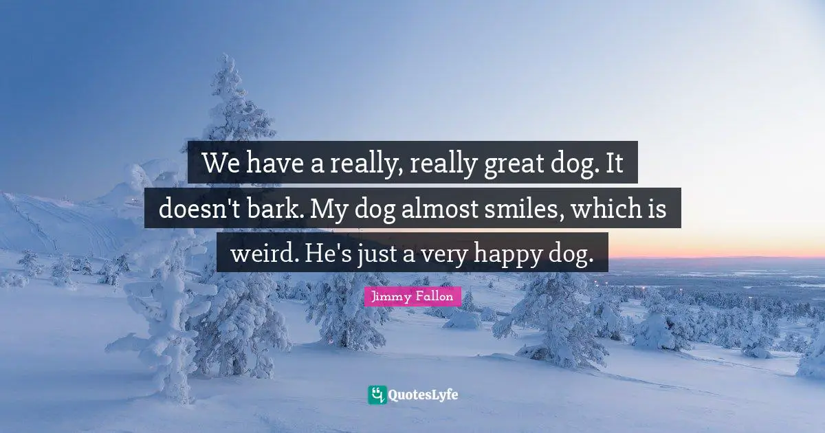 We have a really, really great dog. It doesn't bark. My dog almost smiles, which is weird. He's just a very happy dog.