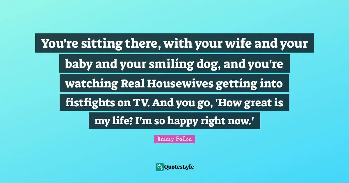 You're sitting there, with your wife and your baby and your smiling dog, and you're watching Real Housewives getting into fistfights on TV. And you go, 'How great is my life? I'm so happy right now.'