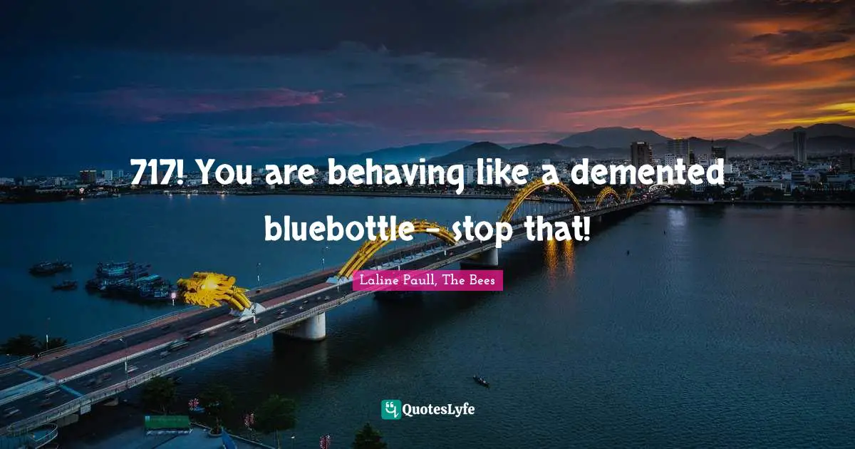 717! You are behaving like a demented bluebottle - stop that!