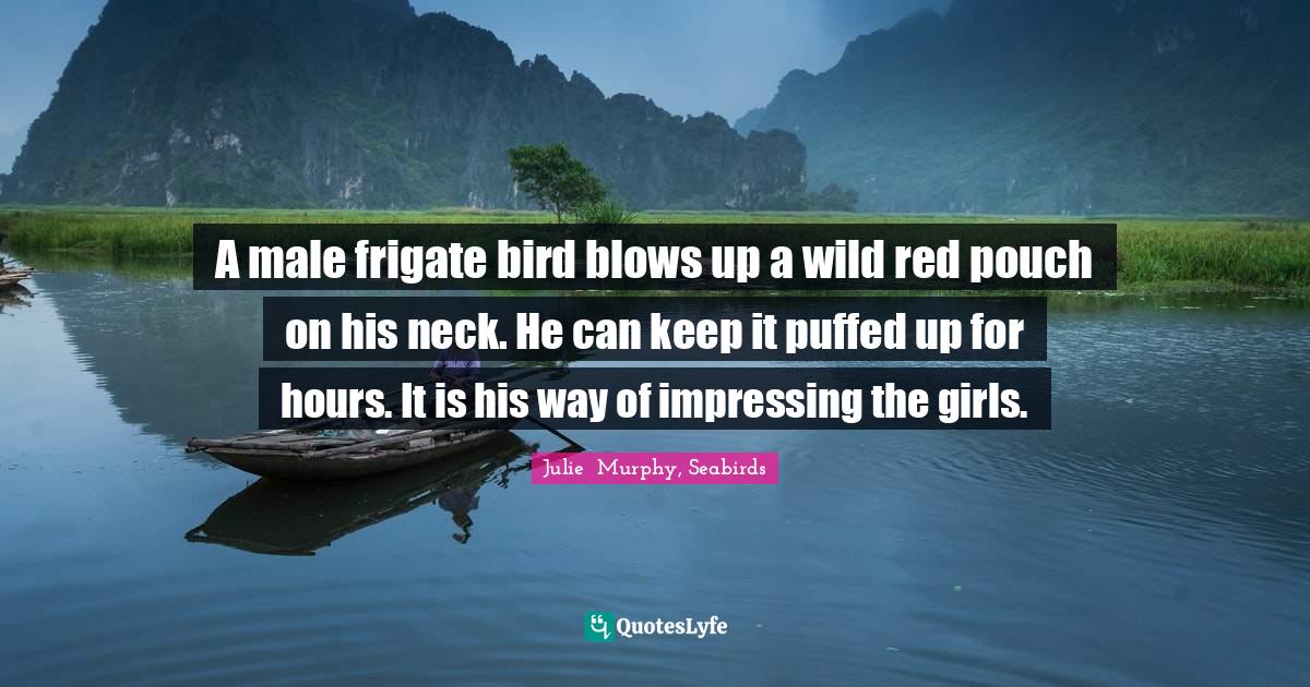 Mating Quotes: "A male frigate bird blows up a wild red pouch on his neck. He can keep it puffed up for hours. It is his way of impressing the girls."
