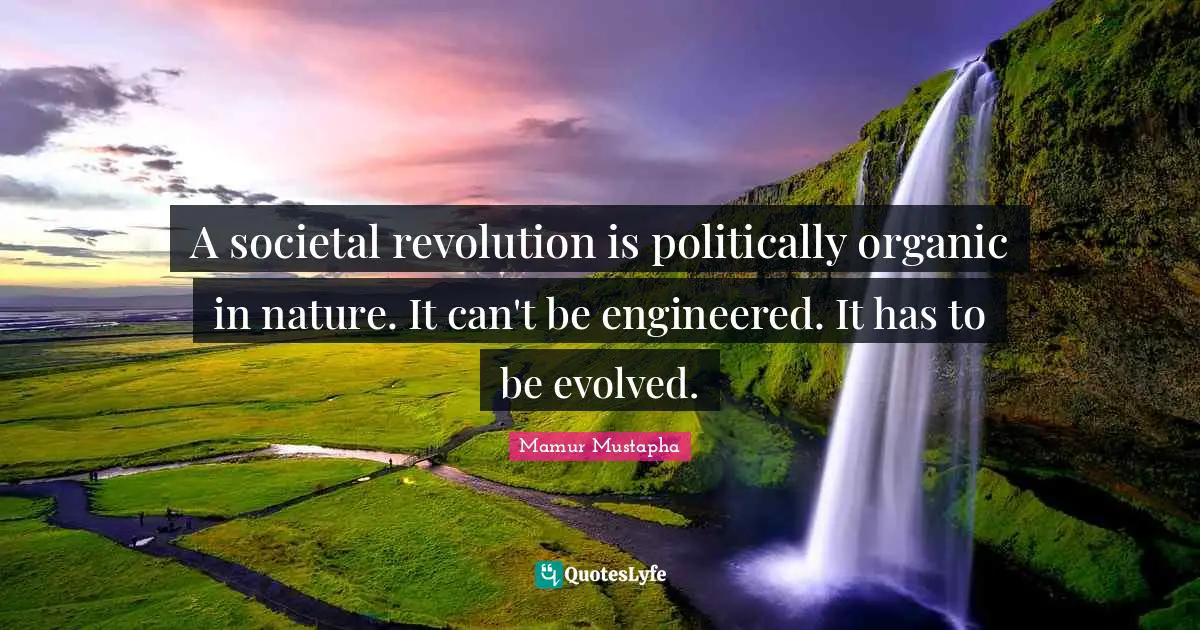 A societal revolution is politically organic in nature. It can't be engineered. It has to be evolved.