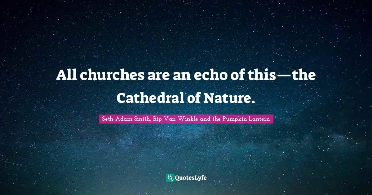 All churches are an echo of this—the Cathedral of Nature.