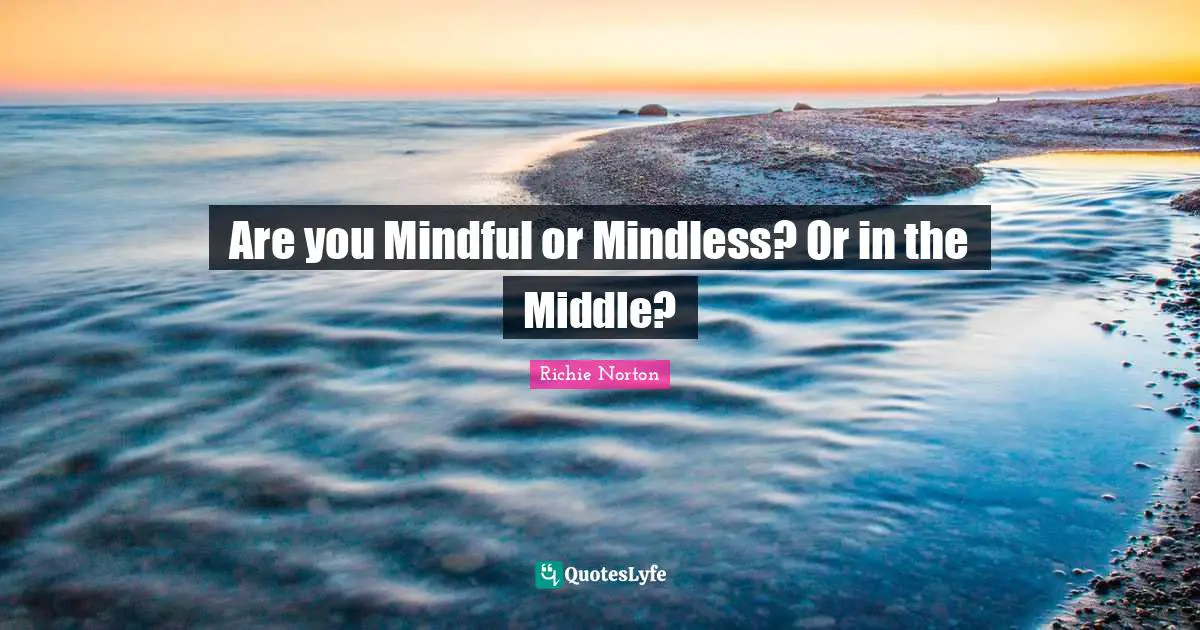 Are you Mindful or Mindless? Or in the Middle?