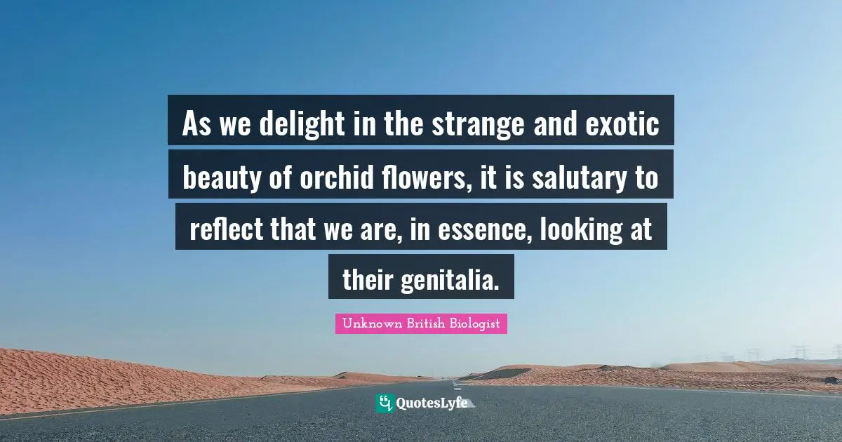 As we delight in the strange and exotic beauty of orchid flowers, it is salutary to reflect that we are, in essence, looking at their genitalia.
