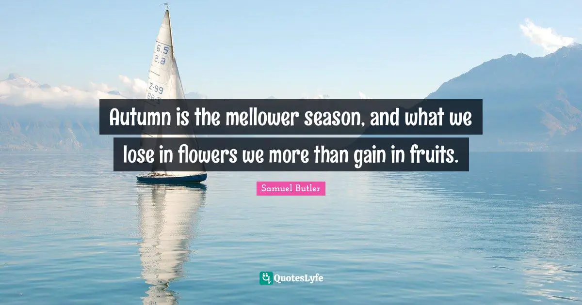 Autumn is the mellower season, and what we lose in flowers we more than gain in fruits.