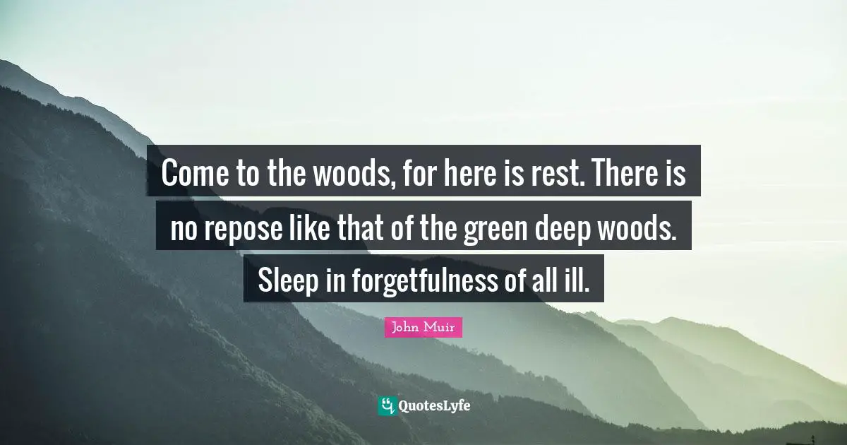 Come to the woods, for here is rest. There is no repose like that of the green deep woods. Sleep in forgetfulness of all ill.