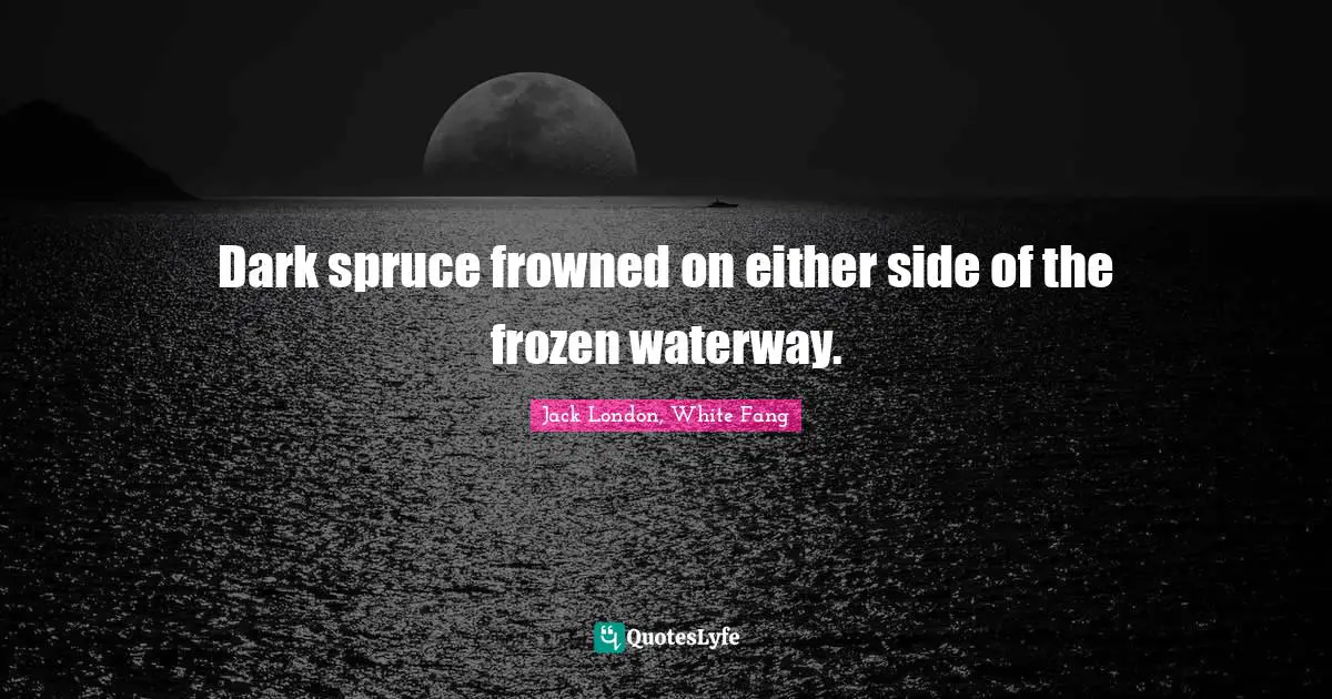 Dark spruce frowned on either side of the frozen waterway.