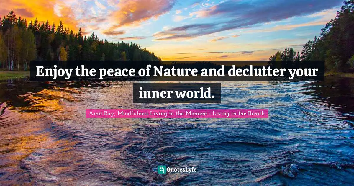 Amit Ray, Mindfulness Living In The Moment - Living In The Breath Quotes: "Enjoy the peace of Nature and declutter your inner world."
