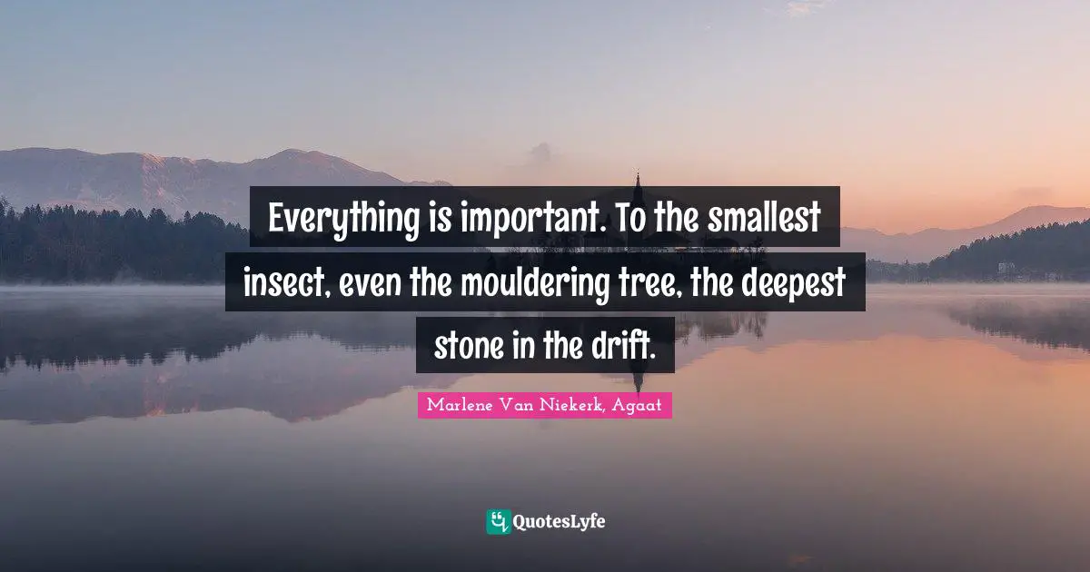 Everything is important. To the smallest insect, even the mouldering tree, the deepest stone in the drift.
