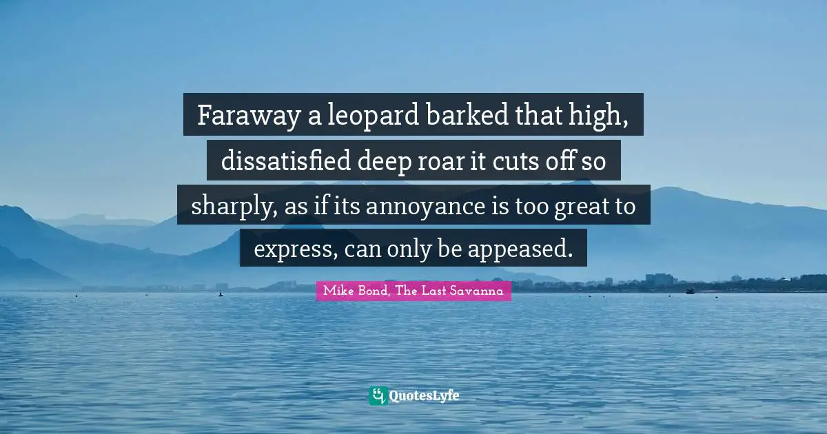 Faraway a leopard barked that high, dissatisfied deep roar it cuts off so sharply, as if its annoyance is too great to express, can only be appeased.