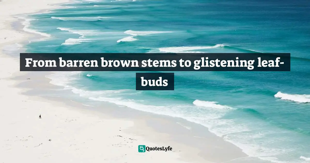 Their Quotes: "From barren brown stems to glistening leaf-buds"