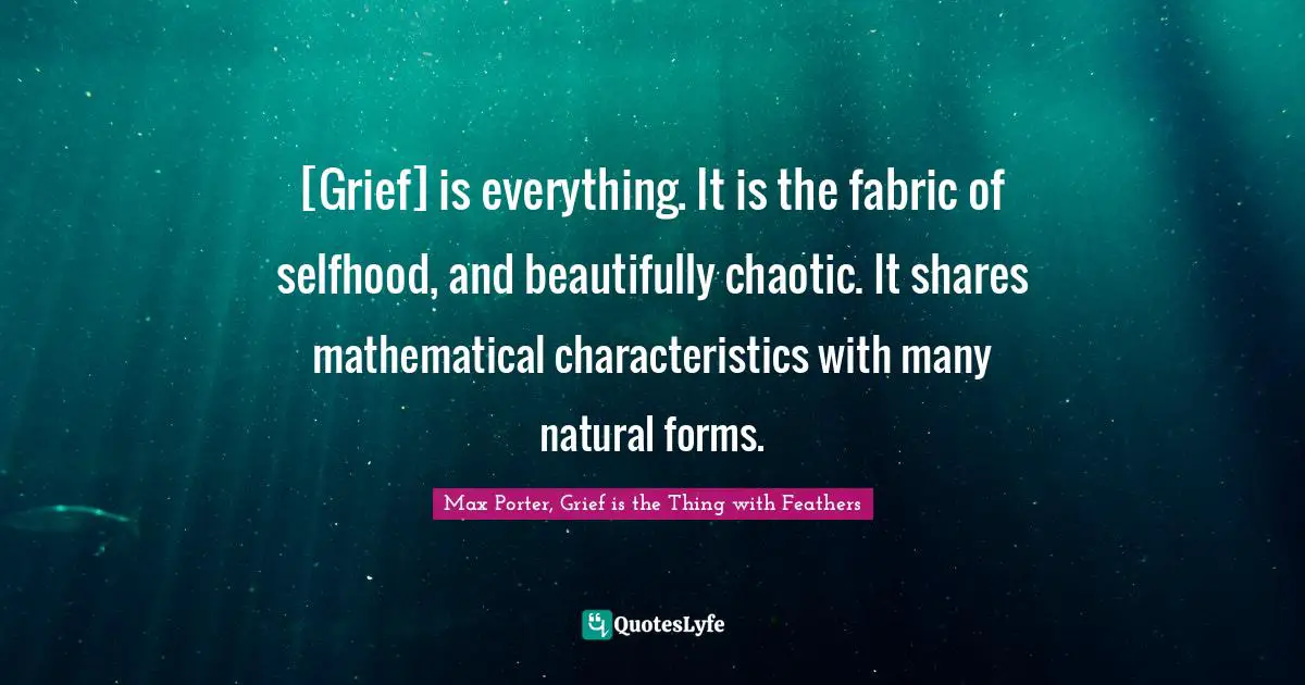 [Grief] is everything. It is the fabric of selfhood, and beautifully chaotic. It shares mathematical characteristics with many natural forms.