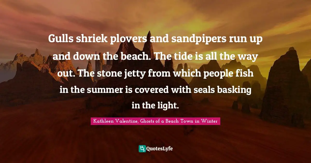 Seals Quotes: "Gulls shriek plovers and sandpipers run up and down the beach. The tide is all the way out. The stone jetty from which people fish in the summer is covered with seals basking in the light."