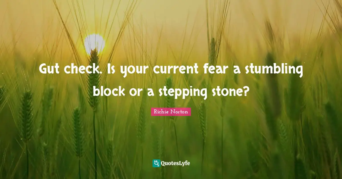 Richie Norton Quotes: "Gut check. Is your current fear a stumbling block or a stepping stone?"