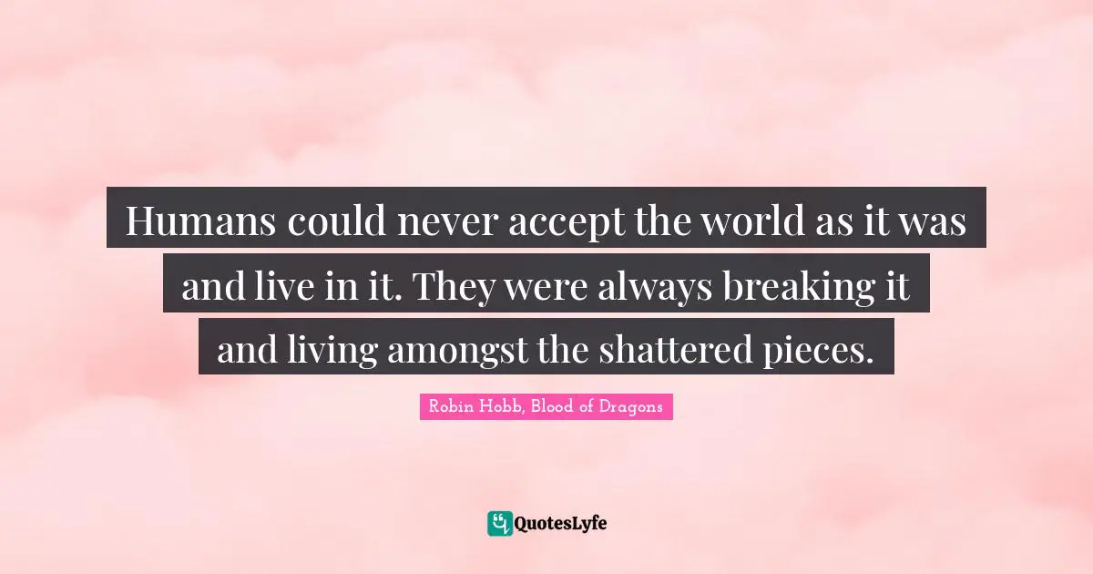 Humans could never accept the world as it was and live in it. They were always breaking it and living amongst the shattered pieces.