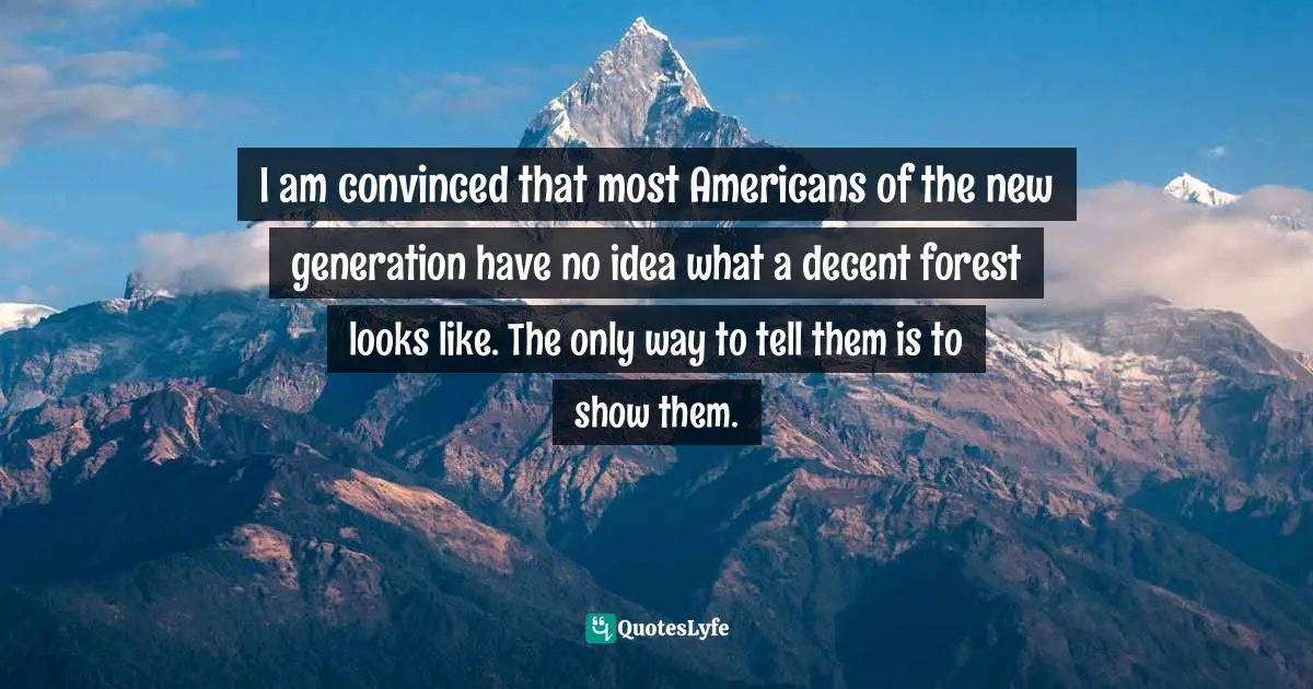 I am convinced that most Americans of the new generation have no idea what a decent forest looks like. The only way to tell them is to show them.