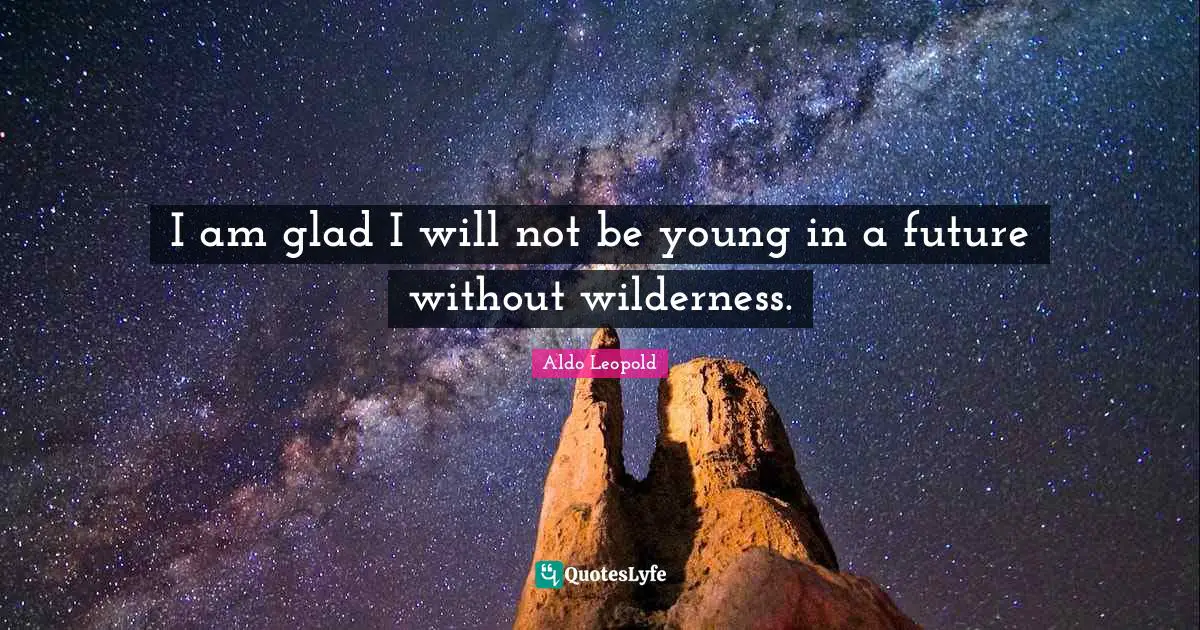 I am glad I will not be young in a future without wilderness.