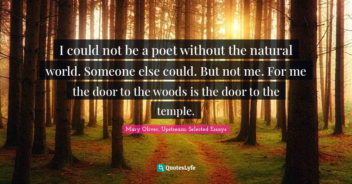 I could not be a poet without the natural world. Someone else could. But not me. For me the door to the woods is the door to the temple.