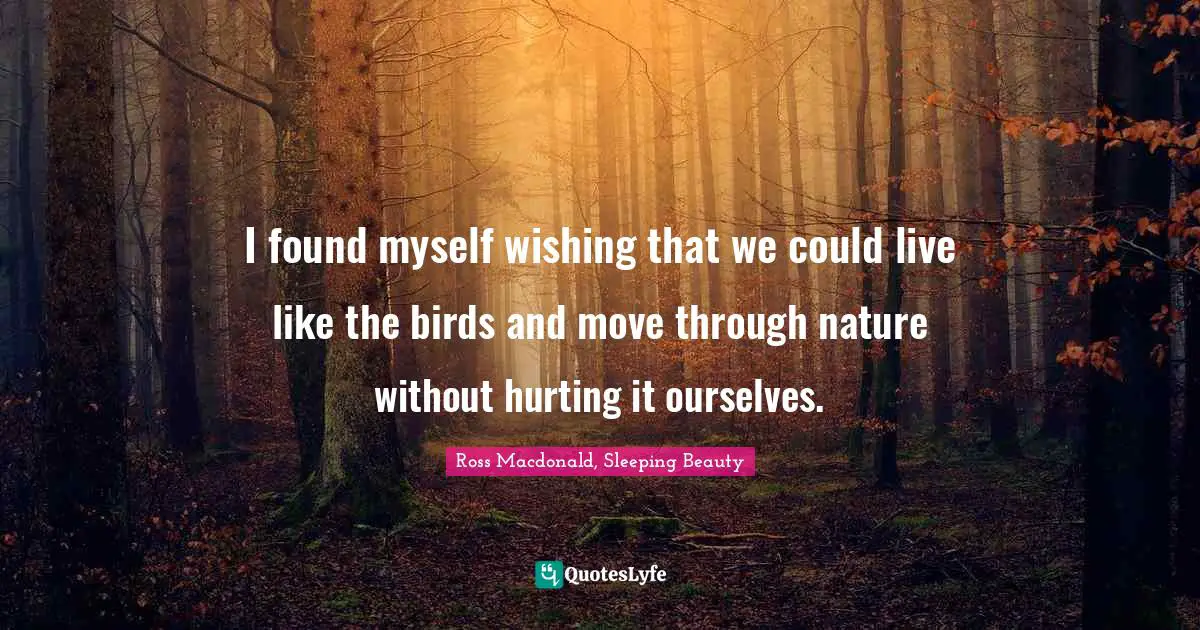 I found myself wishing that we could live like the birds and move through nature without hurting it ourselves.