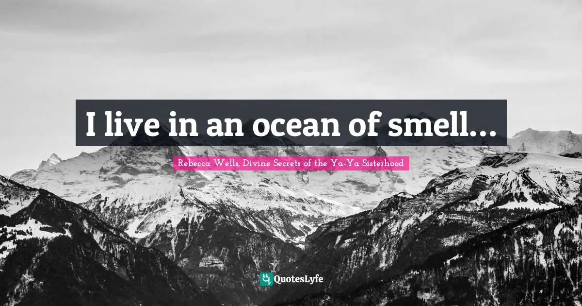 Rebecca Wells, Divine Secrets Of The Ya-Ya Sisterhood Quotes: "I live in an ocean of smell…"