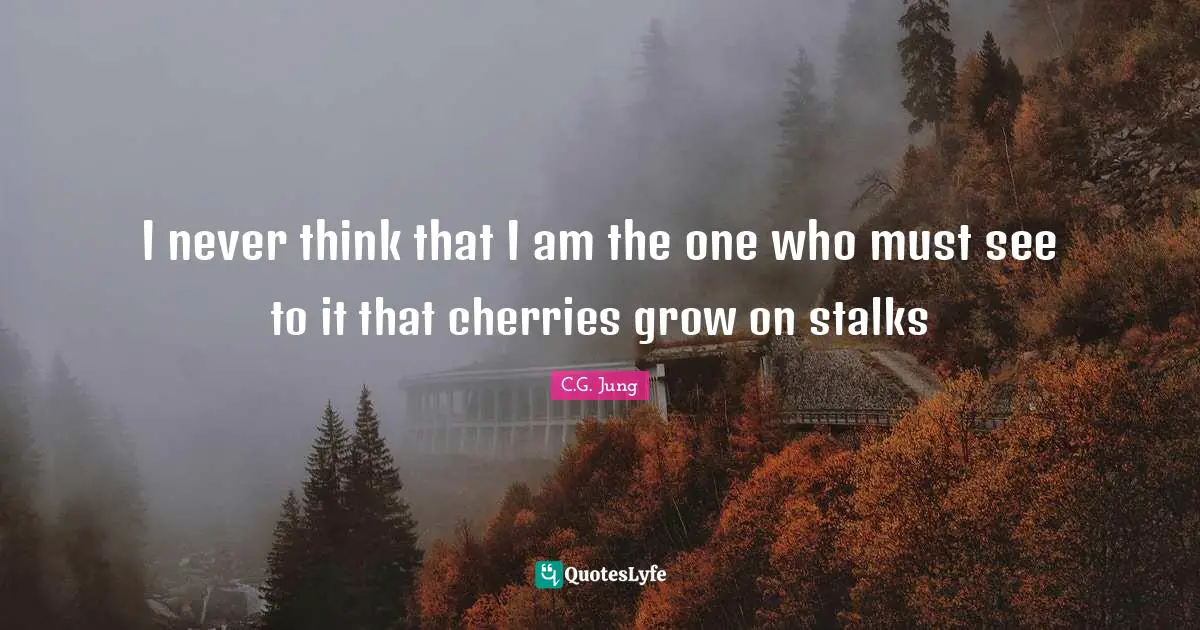 I never think that I am the one who must see to it that cherries grow on stalks