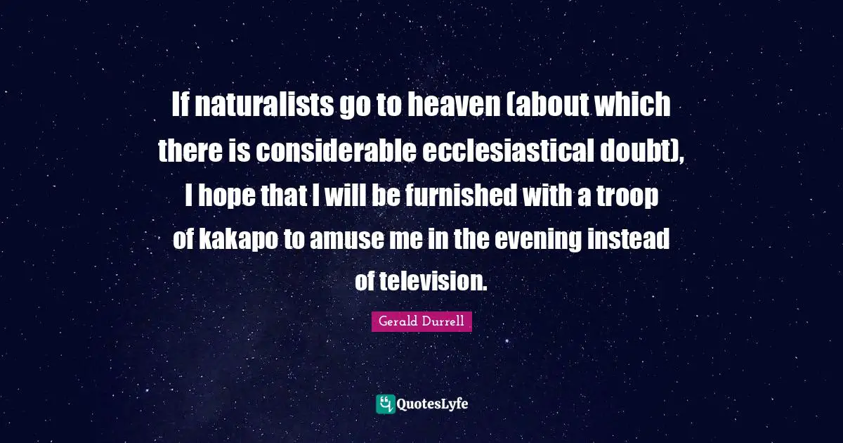 If naturalists go to heaven (about which there is considerable ecclesiastical doubt), I hope that I will be furnished with a troop of kakapo to amuse me in the evening instead of television.