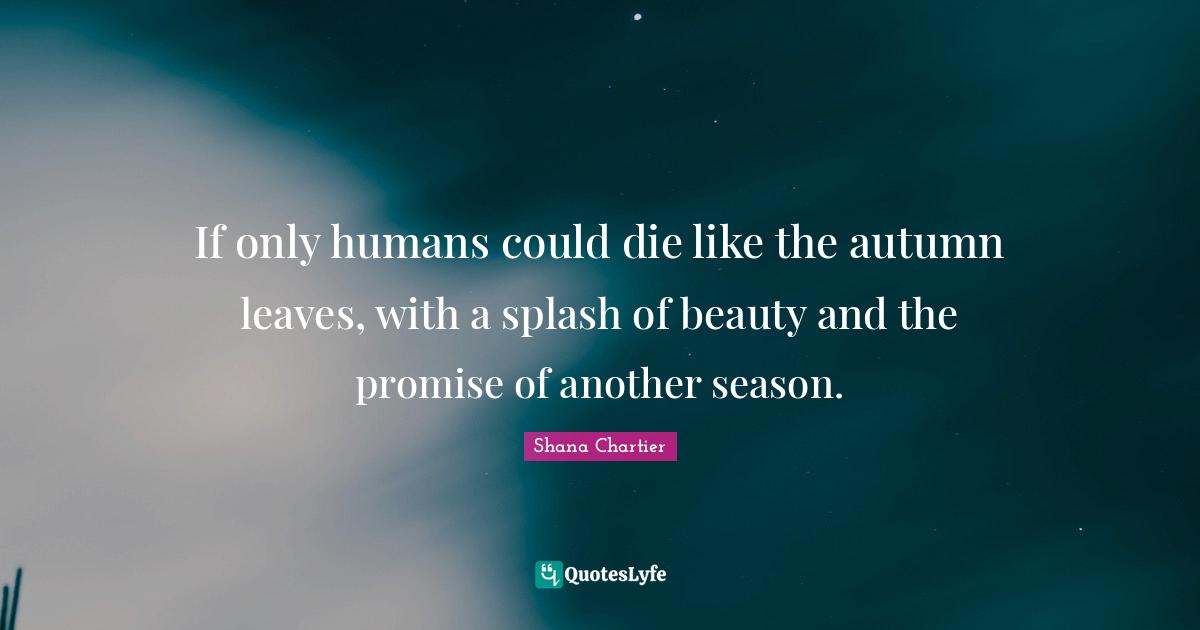 Shana Chartier Quotes: "If only humans could die like the autumn leaves, with a splash of beauty and the promise of another season."