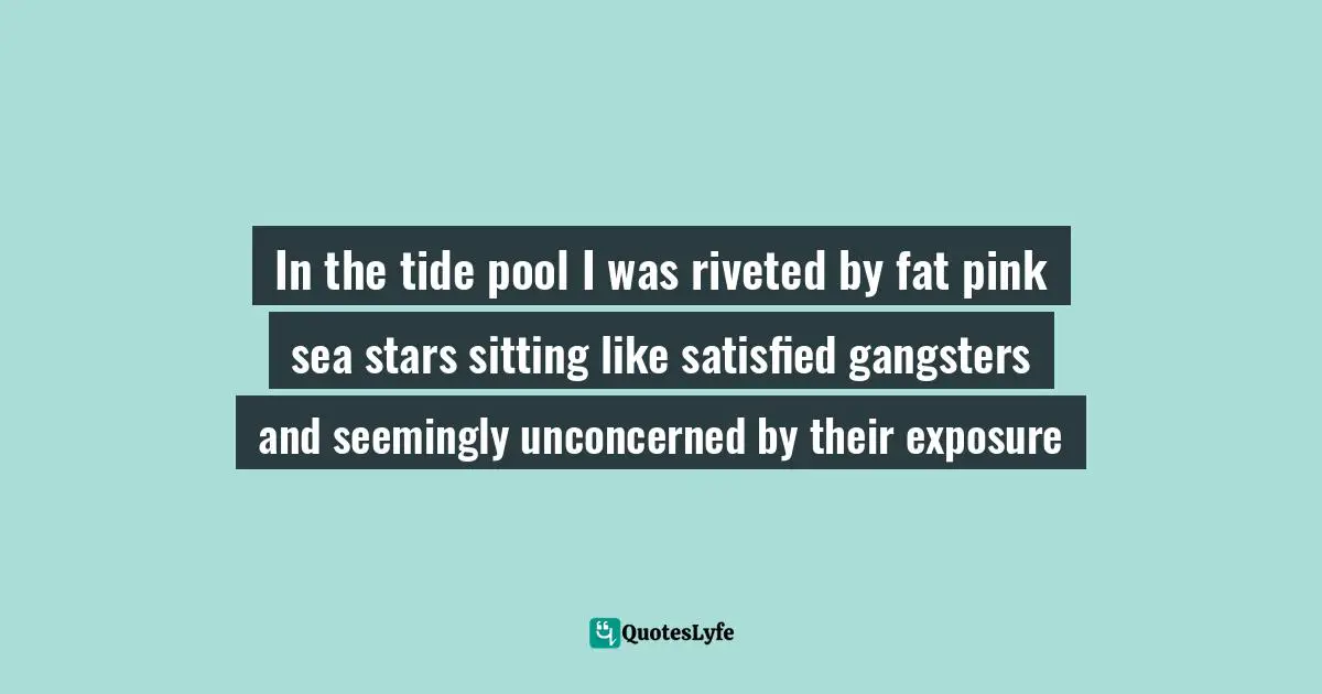 In the tide pool I was riveted by fat pink sea stars sitting like satisfied gangsters and seemingly unconcerned by their exposure