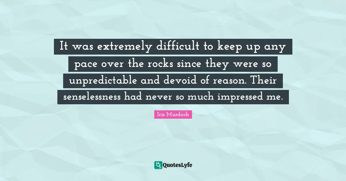 It was extremely difficult to keep up any pace over the rocks since they were so unpredictable and devoid of reason. Their senselessness had never so much impressed me.