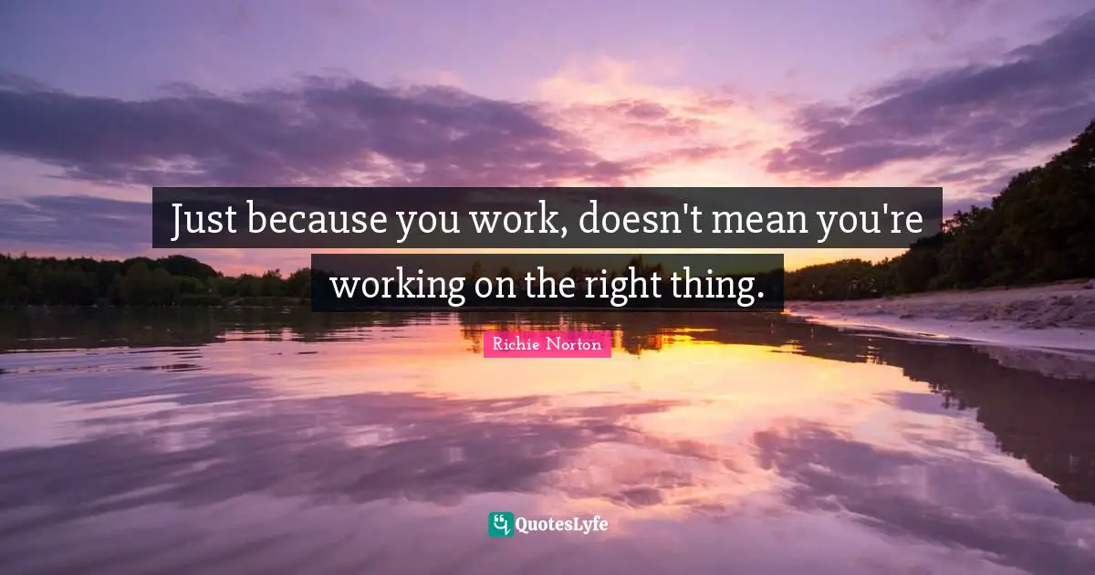 Richie Norton Quotes: "Just because you work, doesn't mean you're working on the right thing."