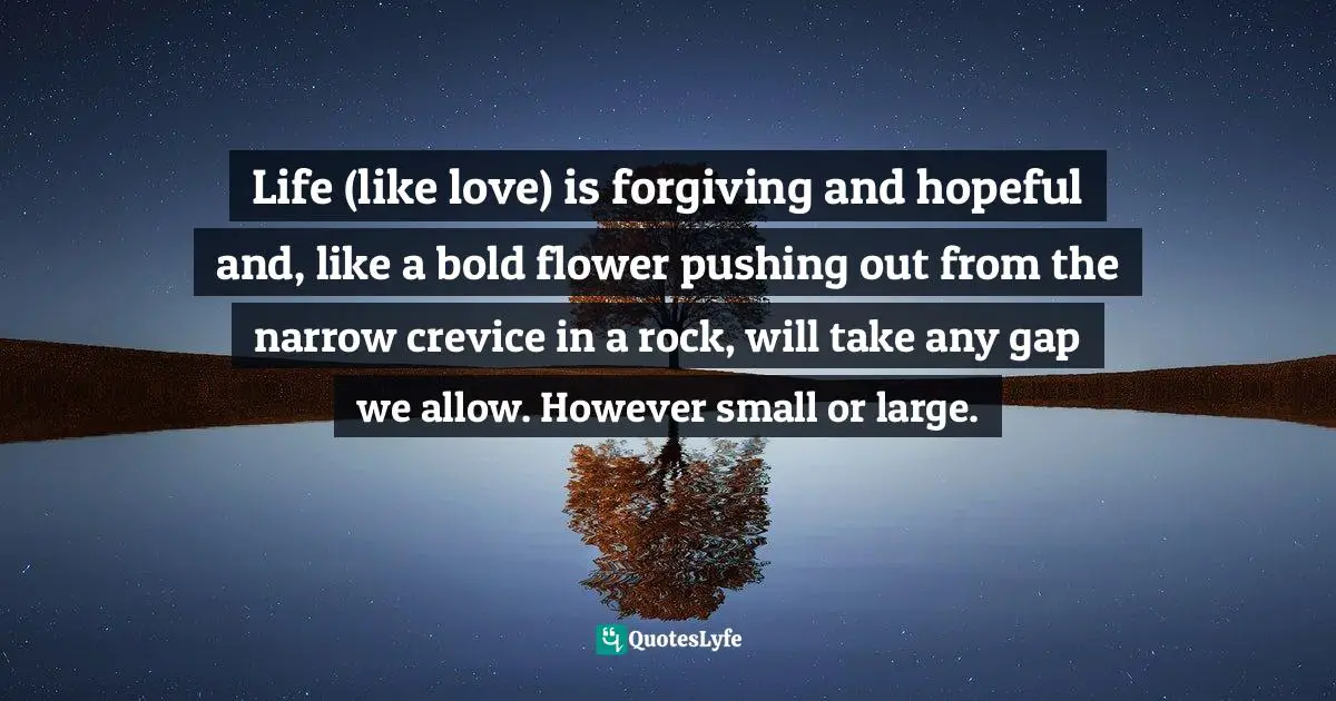 Life (like love) is forgiving and hopeful and, like a bold flower pushing out from the narrow crevice in a rock, will take any gap we allow. However small or large.